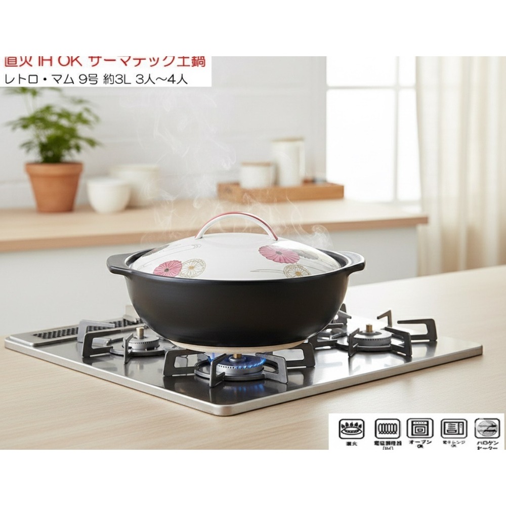 日本MIYAWO可直火與IH爐雙用 耐熱耐冷差 陶土鍋9號(A.B)兩種-細節圖4