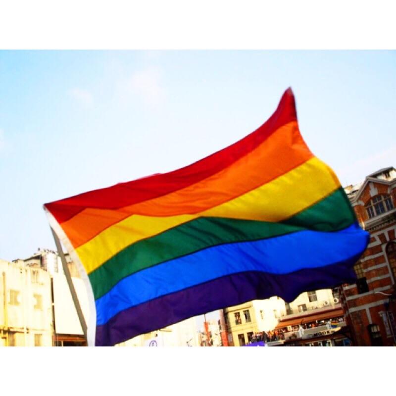 【BOY1896】彩虹旗 LGBT 超大彩虹旗 150cm*90cm 同志 遊行 婚姻平權！gay 支持同志連署婚姻平權-細節圖2