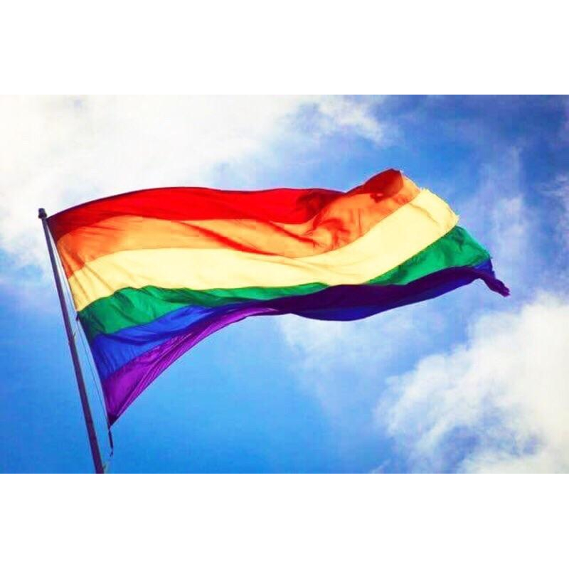 【BOY1896】彩虹旗 LGBT 超大彩虹旗 150cm*90cm 同志 遊行 婚姻平權！gay 支持同志連署婚姻平權-細節圖3