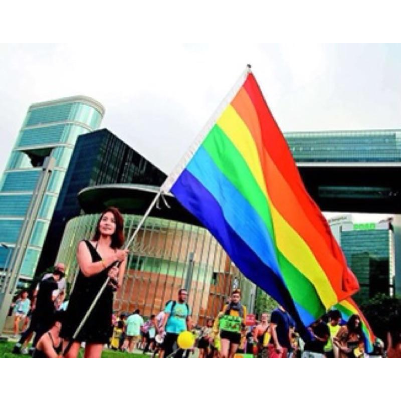 【BOY1896】彩虹旗 LGBT 超大彩虹旗 150cm*90cm 同志 遊行 婚姻平權！gay 支持同志連署婚姻平權-細節圖6