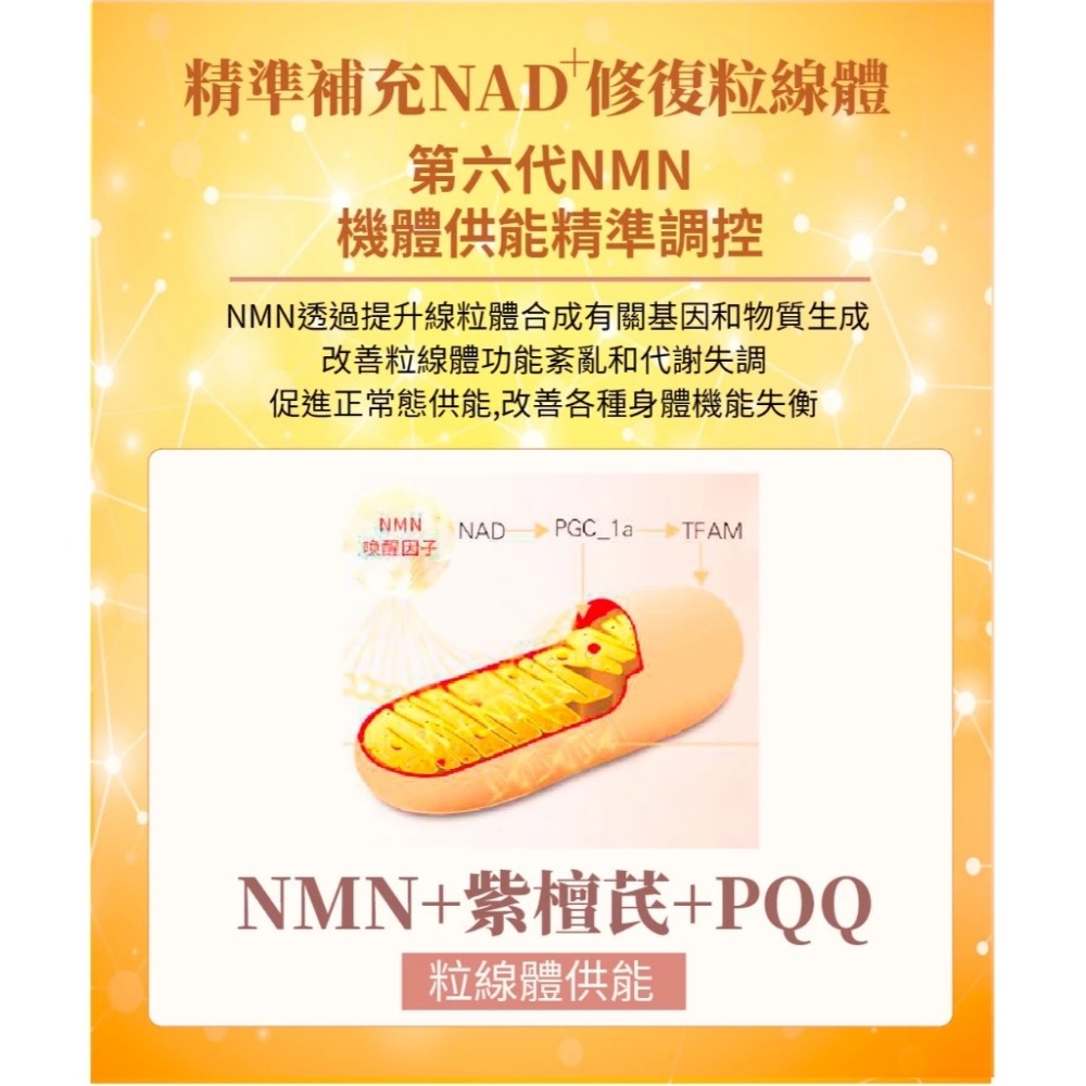 【IQ辛克萊 】 SUPER NMN 6000PLUS | 藥師愛用品牌 (30粒/500粒)-細節圖6