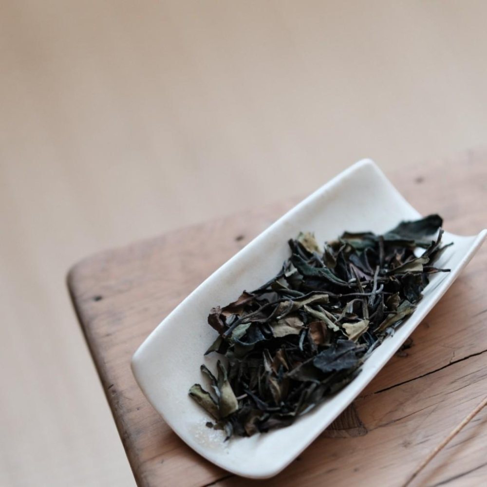 【天下第一好茶】梨山白茶100g｜純淨山韻｜清香甘甜・蜜果悠長-細節圖4