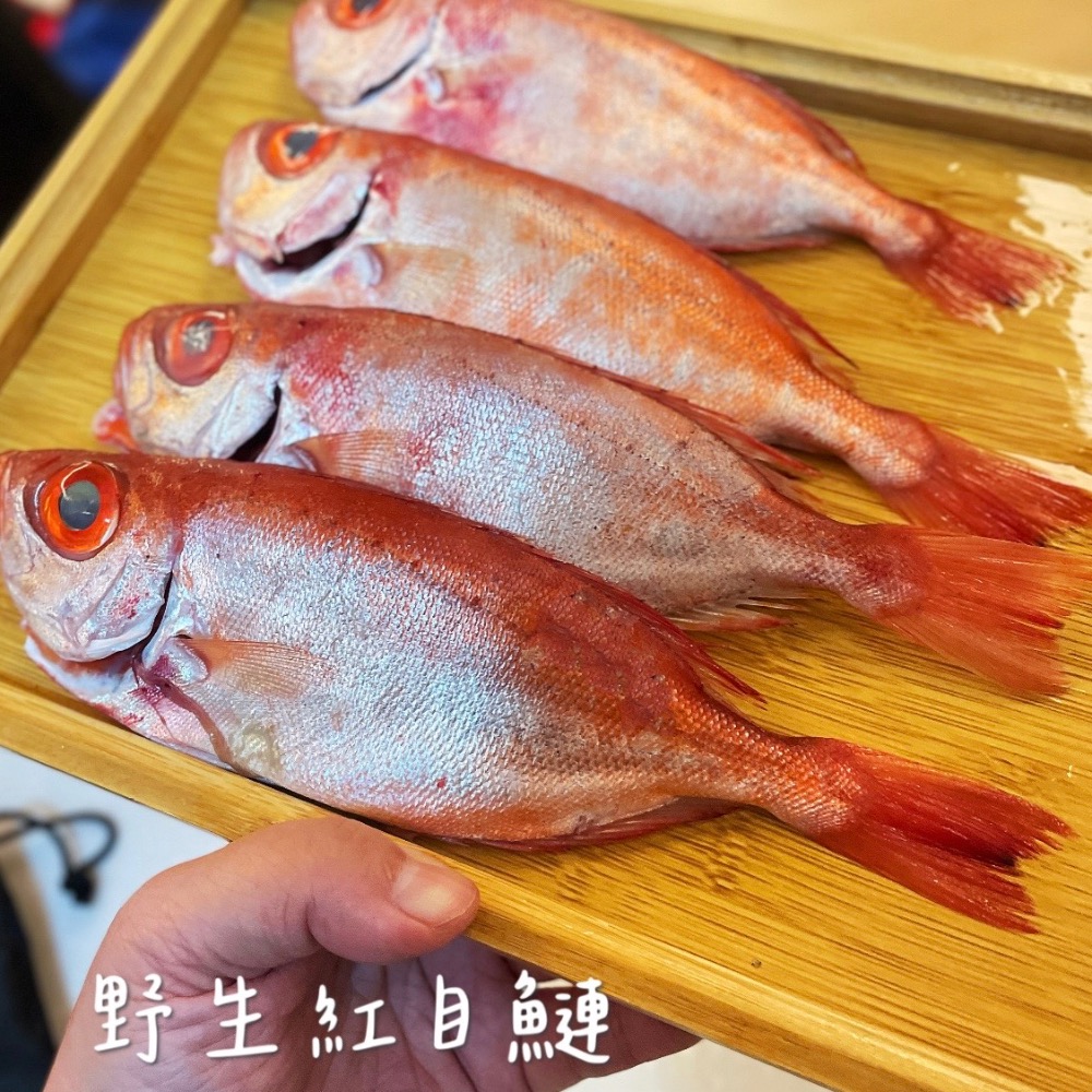 宜蘭現流紅目鰱-細節圖2