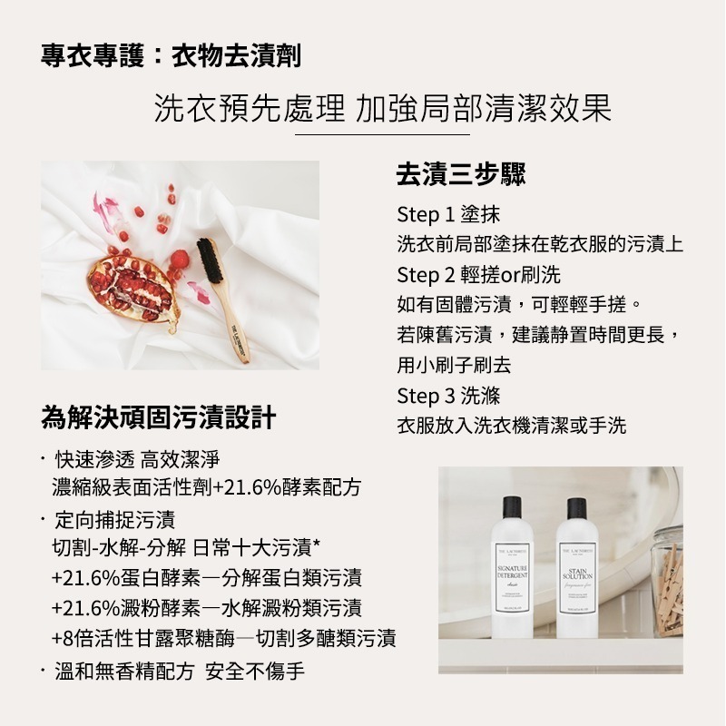 【THE LAUNDRESS 官方直營】衣物去漬劑 Stain Solution 500g 台灣公司貨-細節圖3