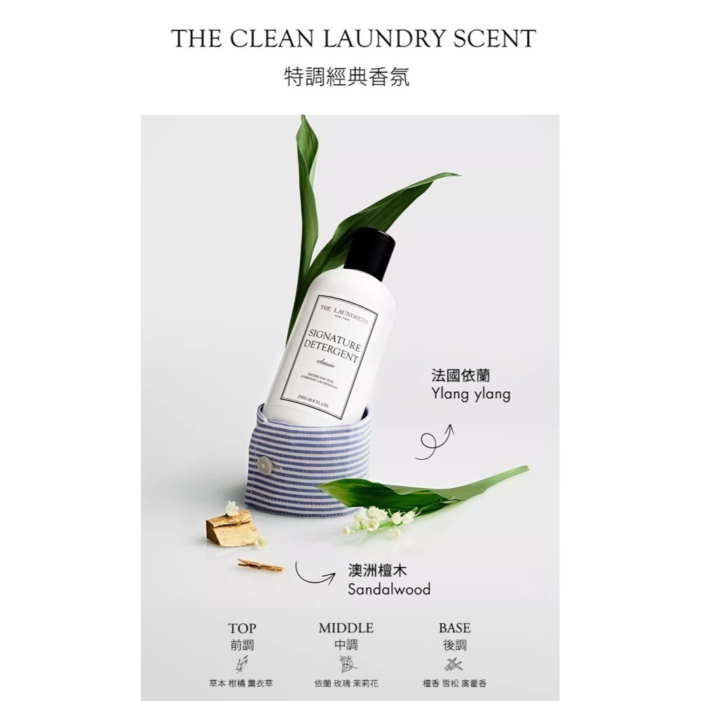 【THE LAUNDRESS 官方直營】經典洗衣精 Signature Detergent 經典香氛 1kg 台灣公司貨-細節圖4
