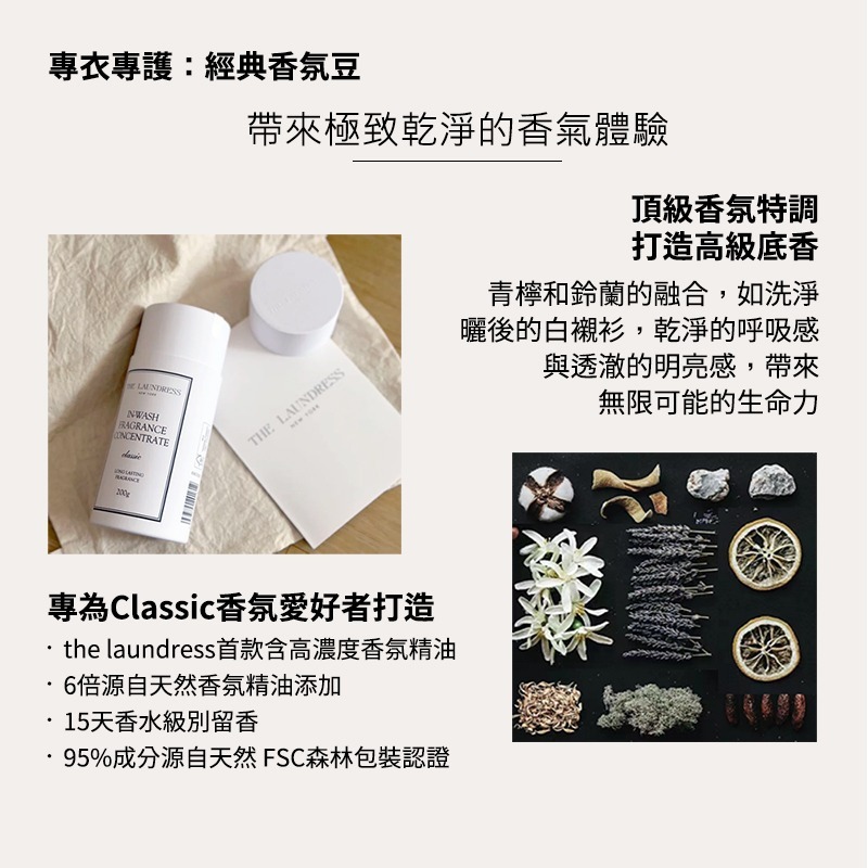 【THE LAUNDRESS 官方直營】經典香氛豆 Fragrance Concentrate 200g 台灣公司貨-細節圖3