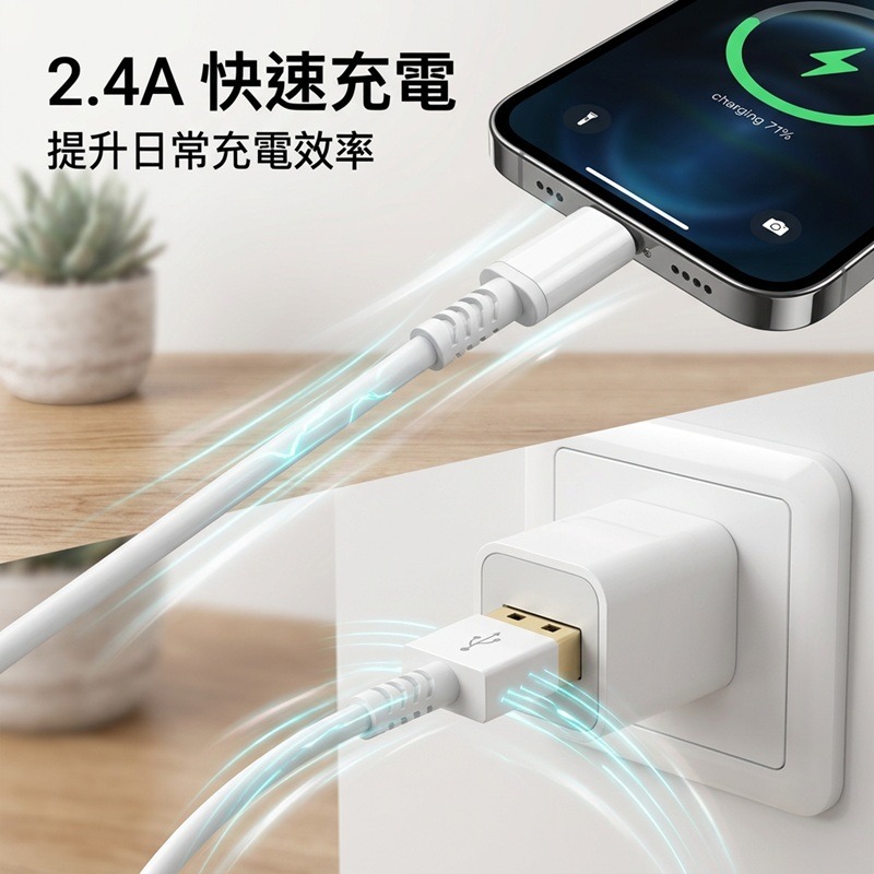 蘋果專用充電線 iPhone iPad快充線 USB接口 / PD快充線 / TypeC接口-細節圖3