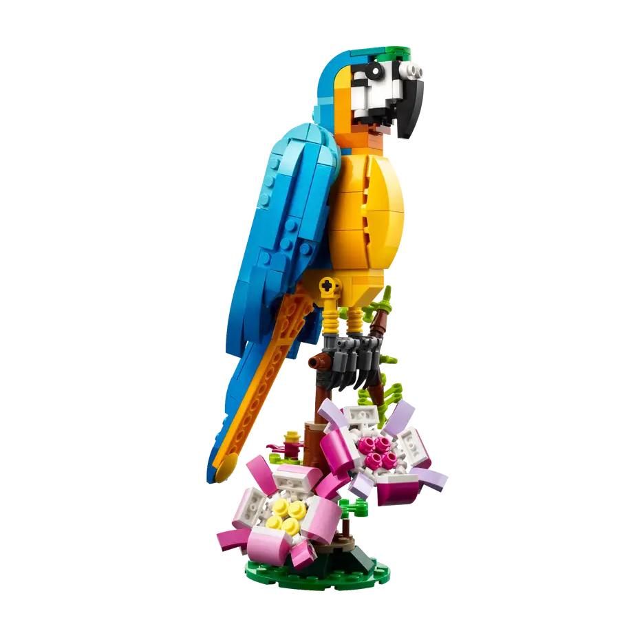 『現貨』LEGO 31136  Creator-異國鸚鵡  盒組   【蛋樂寶】-細節圖3