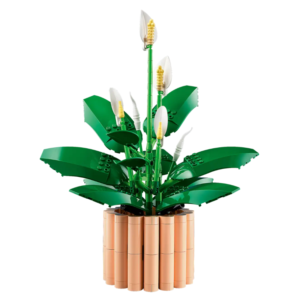 『現貨』LEGO 11504	Botanicals 白鶴芋  盒組     【蛋樂寶】-細節圖3