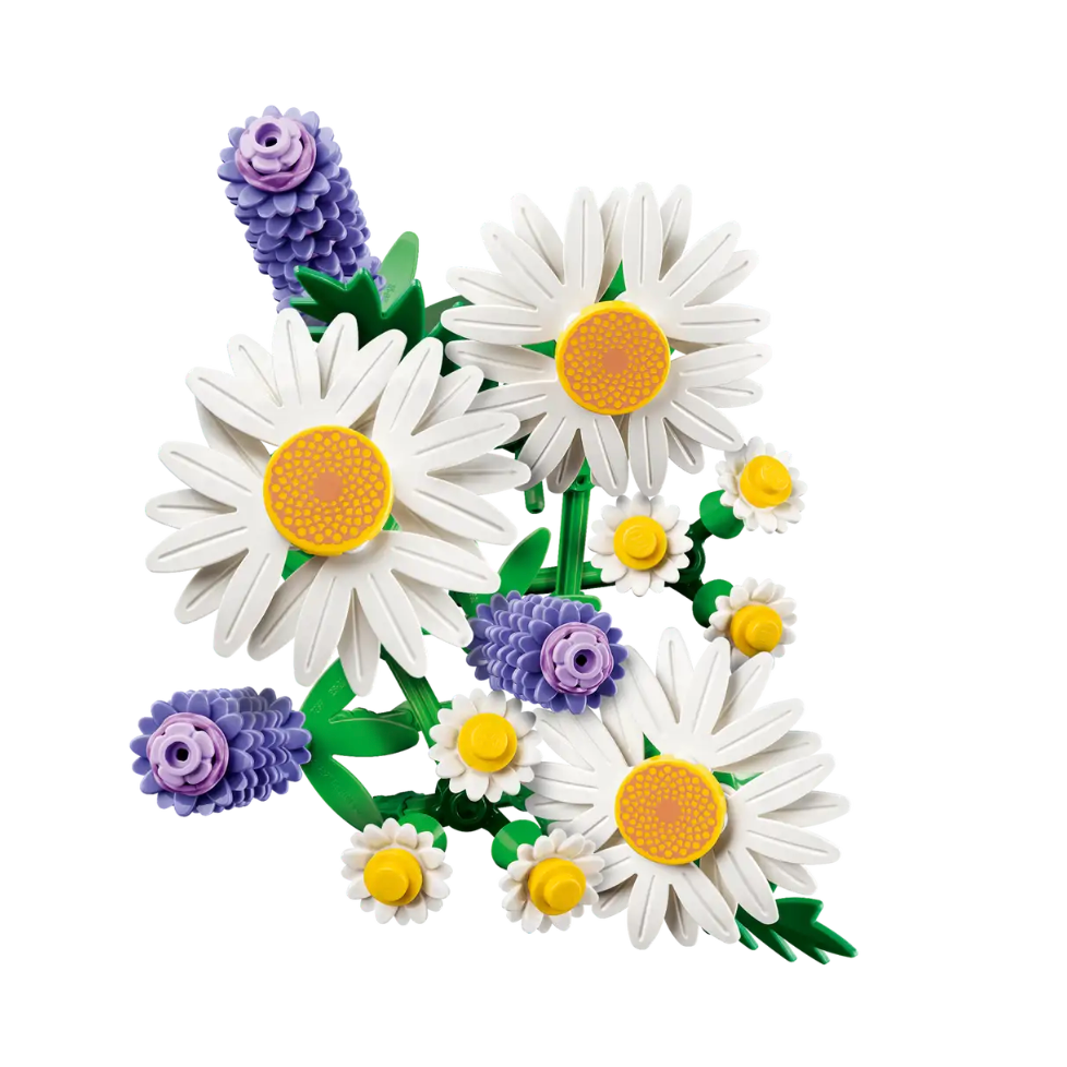 『現貨』LEGO 11508	Botanicals 雛菊  盒組     【蛋樂寶】-細節圖3