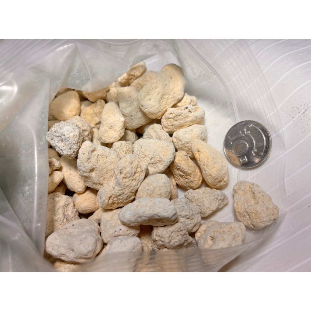 日本石(薩摩石)1kg ~園藝/寵物/多肉/鹿角蕨/蘭花/國蘭-規格圖2