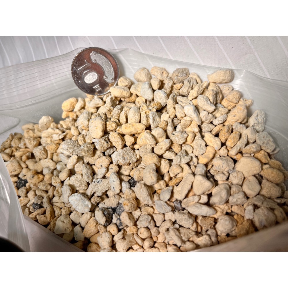 日本石(薩摩石)1kg ~園藝/寵物/多肉/鹿角蕨/蘭花/國蘭-規格圖2