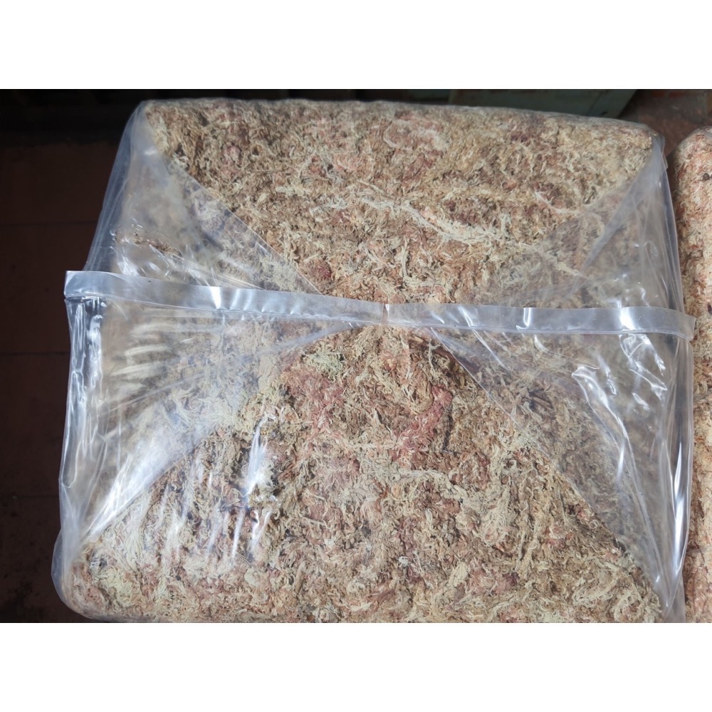 智利特選水苔 5kg 保濕優異・雜質更少-細節圖2