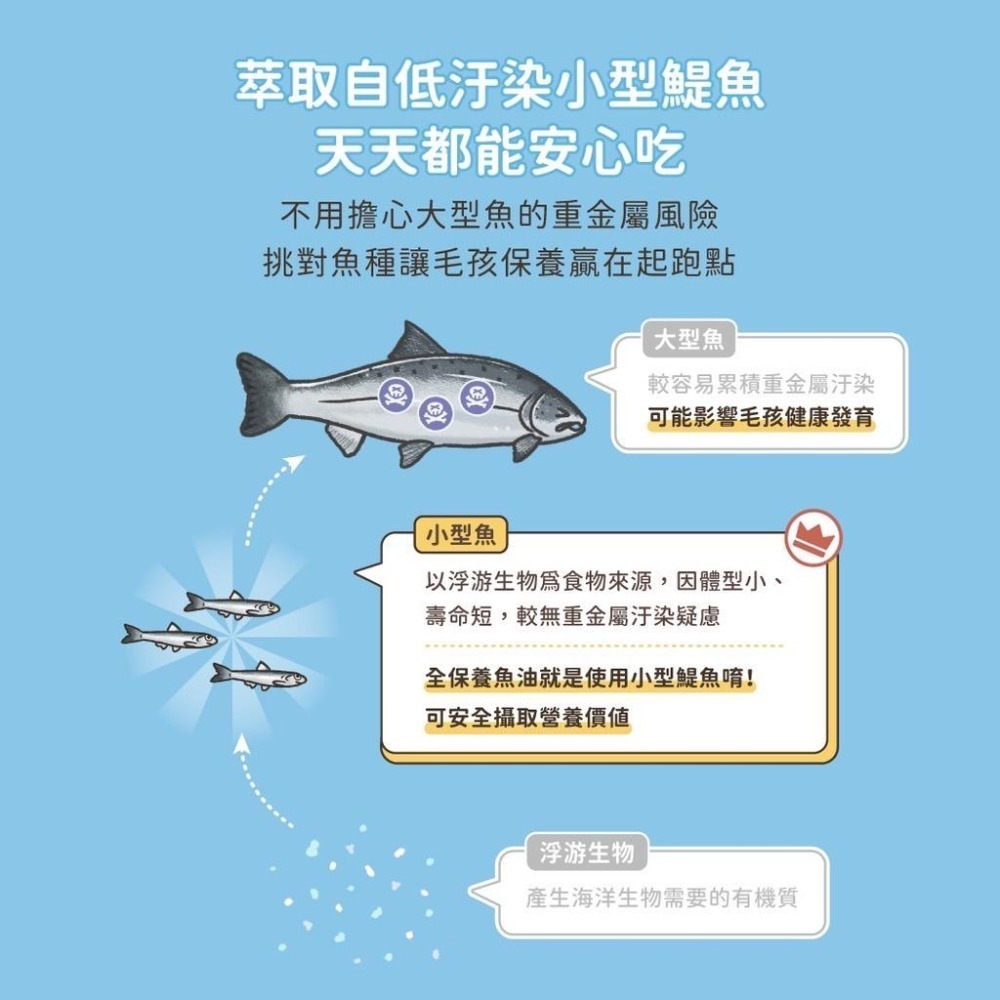 【汪喵星球】 Omega-3 全保養魚油（噴霧型） 寵物魚油 狗狗魚油 貓咪魚油 狗皮膚保養-細節圖4