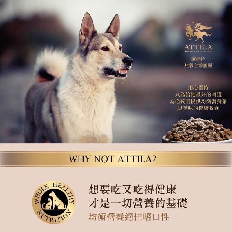 ATTILA 阿提拉 無穀全齡犬糧 犬乾糧飼料 原型肉塊及真空低溫乾燥殺菌研磨噴灑台灣製造-細節圖5