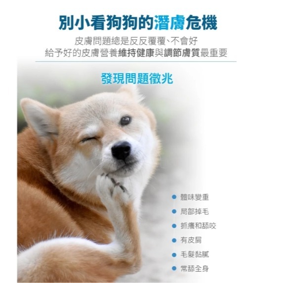 木入森MRS-犬寶膚立好(M)60顆/盒超值裝包/寵物皮膚保健品-細節圖2