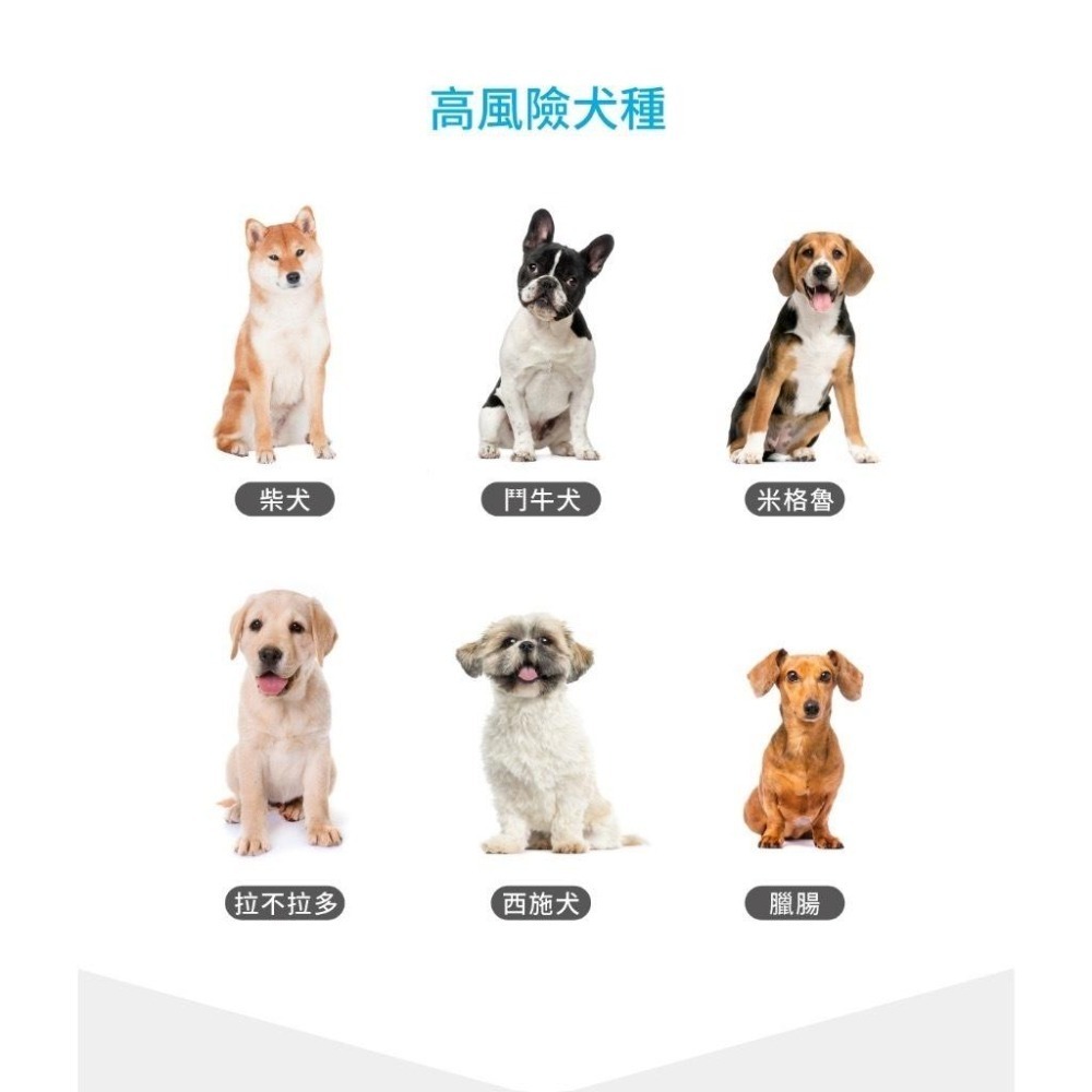 木入森MRS-犬寶膚立好(M)60顆/盒超值裝包/寵物皮膚保健品-細節圖3