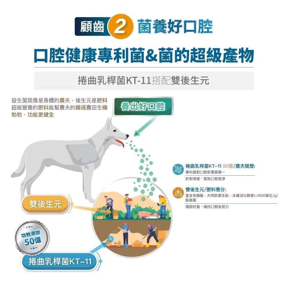 【買2袋送1袋】木入森 犬寶固齒麗潔牙錠 約30顆/袋｜狗狗潔牙mini錠【貓多多寵物小舖】-細節圖6