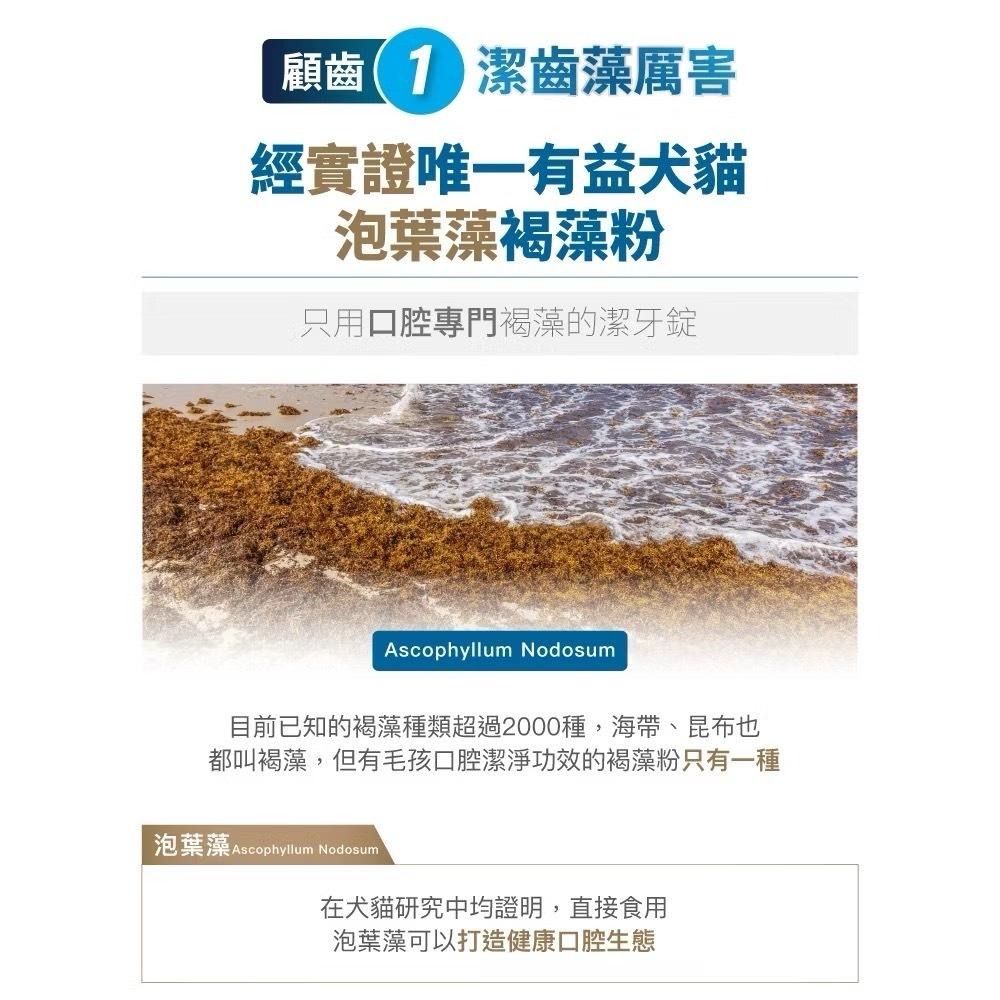 【買2袋送1袋】木入森 犬寶固齒麗潔牙錠 約30顆/袋｜狗狗潔牙mini錠【貓多多寵物小舖】-細節圖7