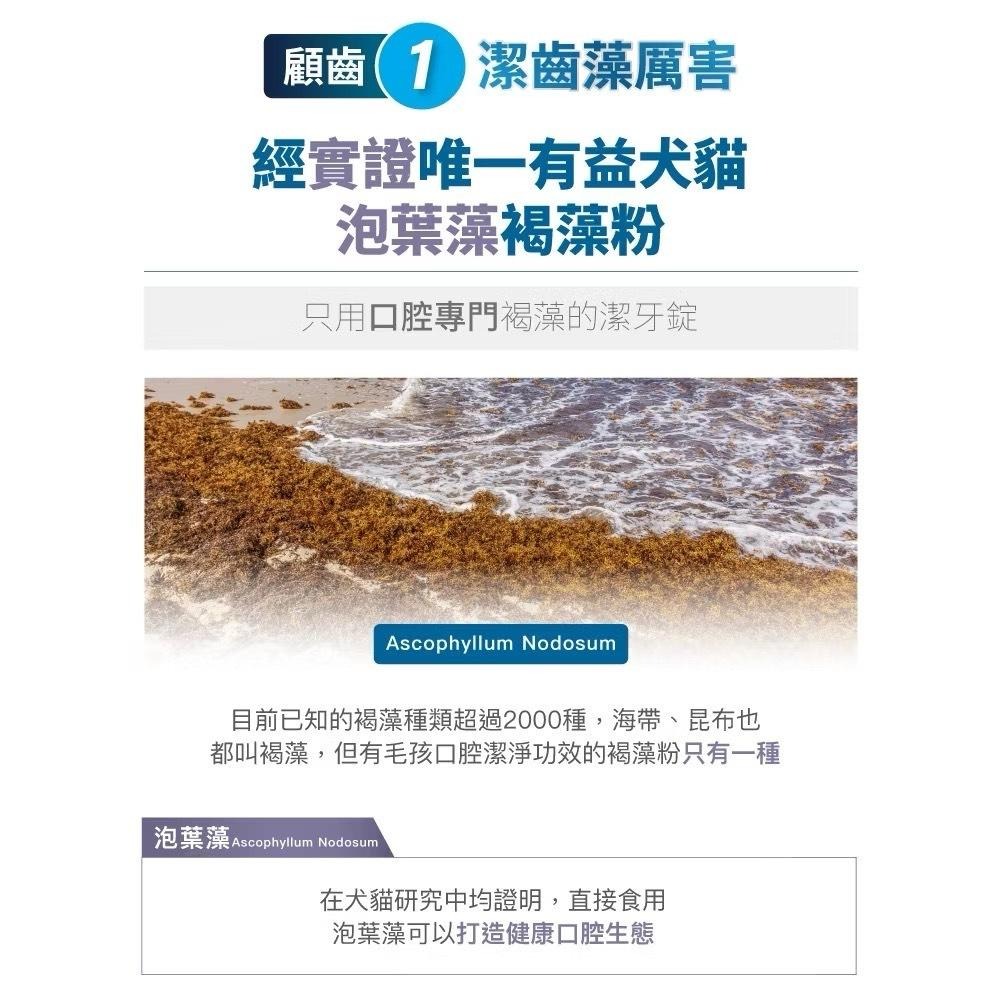 【買2袋送1袋】木入森 貓咪固齒麗潔牙錠 約30顆/袋｜貓咪潔牙mini錠【貓多多寵物小舖】-細節圖6