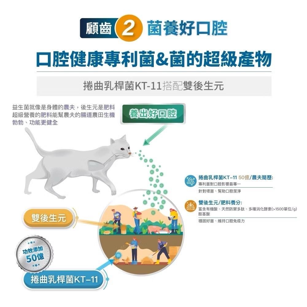 【買2袋送1袋】木入森 貓咪固齒麗潔牙錠 約30顆/袋｜貓咪潔牙mini錠【貓多多寵物小舖】-細節圖7