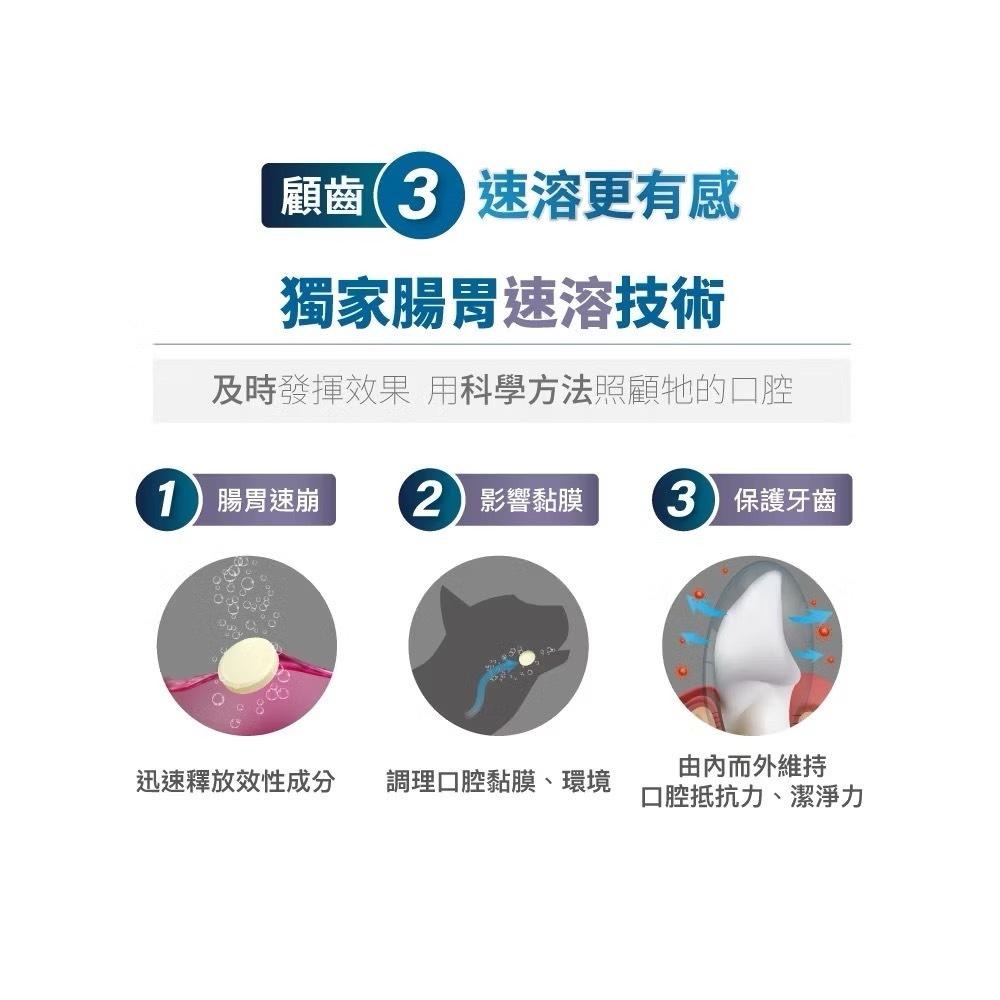 【買2袋送1袋】木入森 貓咪固齒麗潔牙錠 約30顆/袋｜貓咪潔牙mini錠【貓多多寵物小舖】-細節圖9