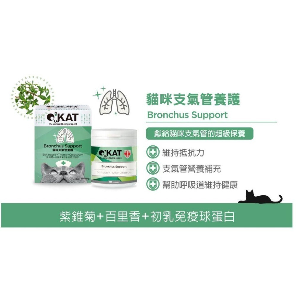 【即期特價】美喵人生 O＇KAT OKAT 貓咪保健專家110顆 免疫提升/超級保養/消化/關節/心臟/泌尿-細節圖5
