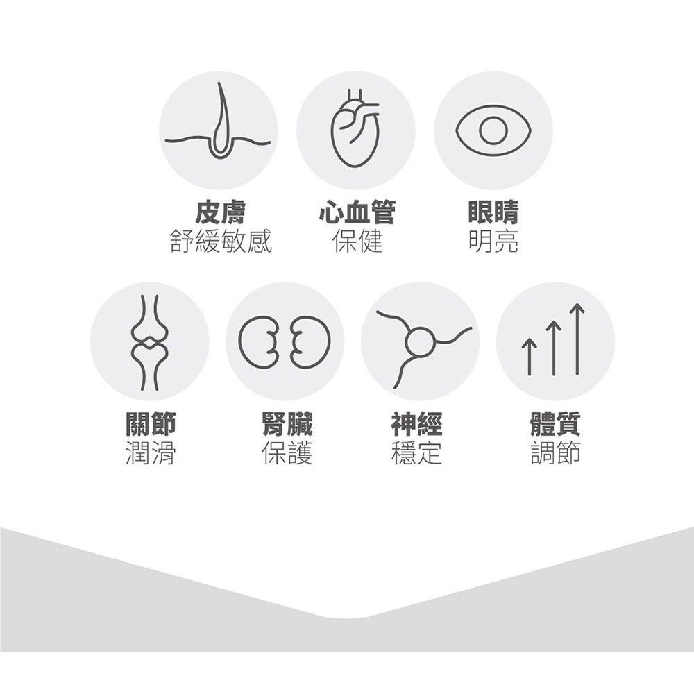 木入森 寵物魚油粉【體驗組 1.25gx3包】 Omega-3 EPA+DHA 專利雙層包覆技術 低腥味 貓魚油 狗魚油-細節圖7