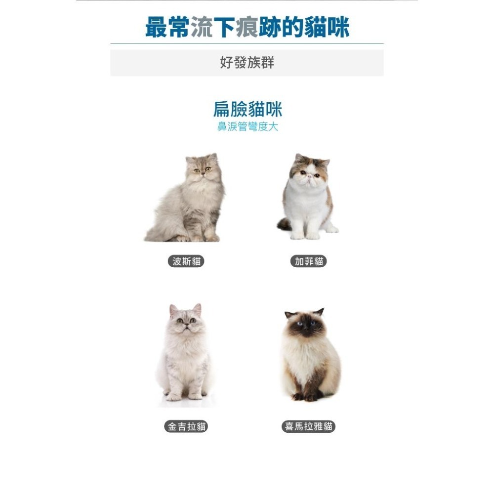 【買大送小】木入森MRS-貓寶痕淨白(S)30顆/盒 (M)60顆/盒 寵物淚痕 貓保健品 去淚痕-細節圖3