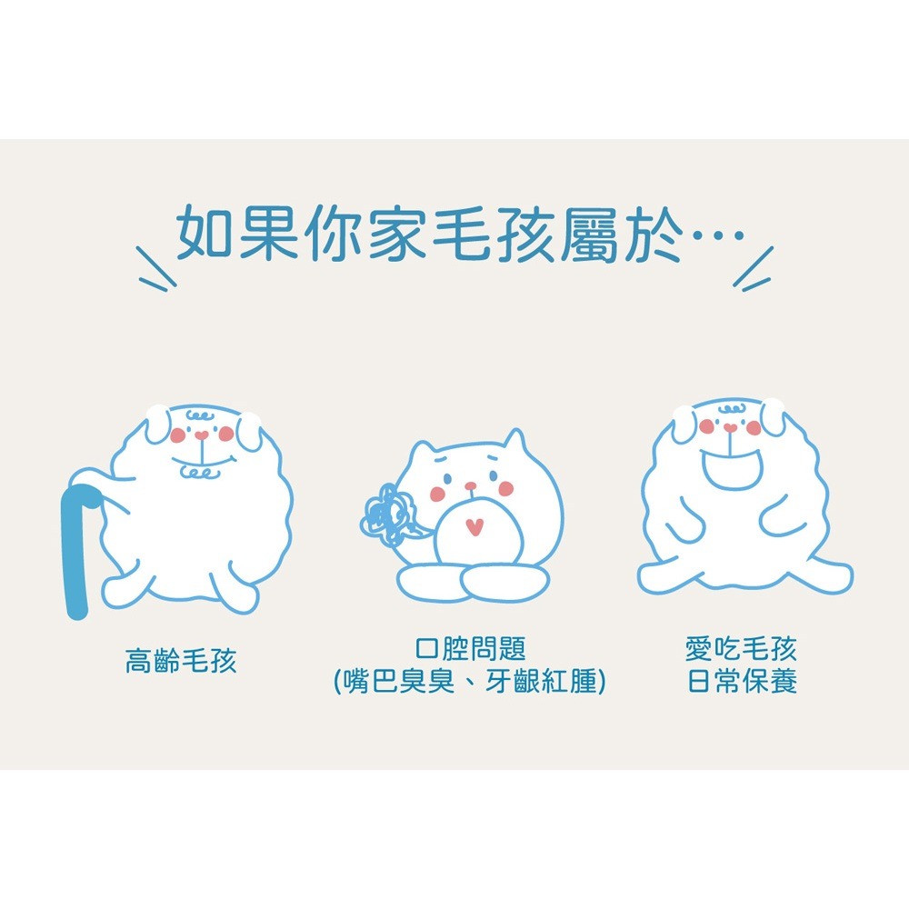 犬貓口腔保健益生菌粉 小小毛孩 寵物口腔益生菌 狗 貓 潔牙 口腔 保健食品 刷牙 潔牙粉 口益適 寵物保健品-細節圖3