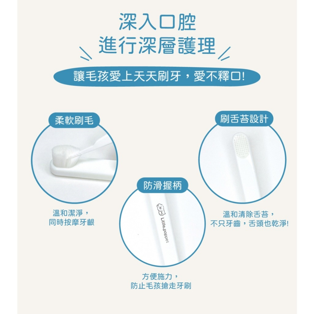 寵物護齦軟毛牙刷 小小毛孩 狗牙刷 貓牙刷 寵物牙刷 寵物潔牙 寵物用品 寵物牙膏 狗 貓 口腔 刷牙 牙-細節圖2