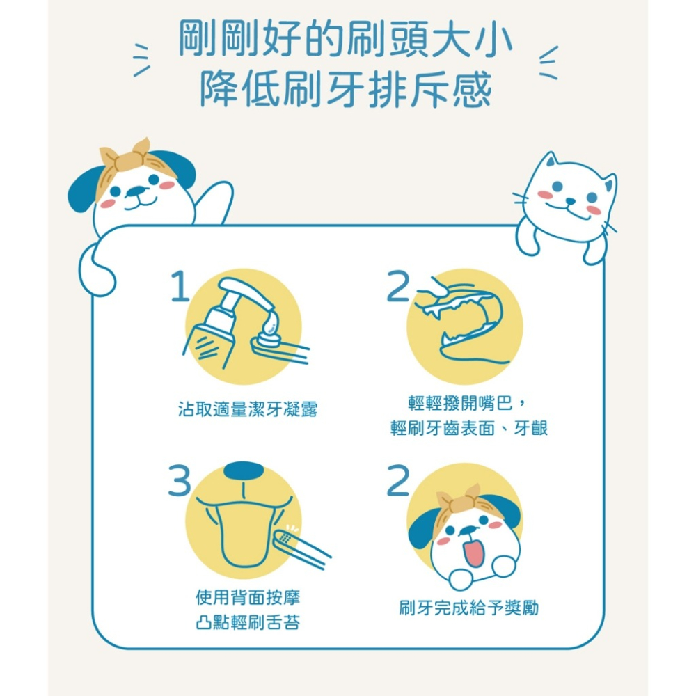 【小小毛孩】狗狗牙刷組4入-護齦軟毛X2+臼齒軟毛X2 狗牙刷 狗牙齒 狗潔牙 狗刷牙 寵物牙刷 寵物潔牙-細節圖5