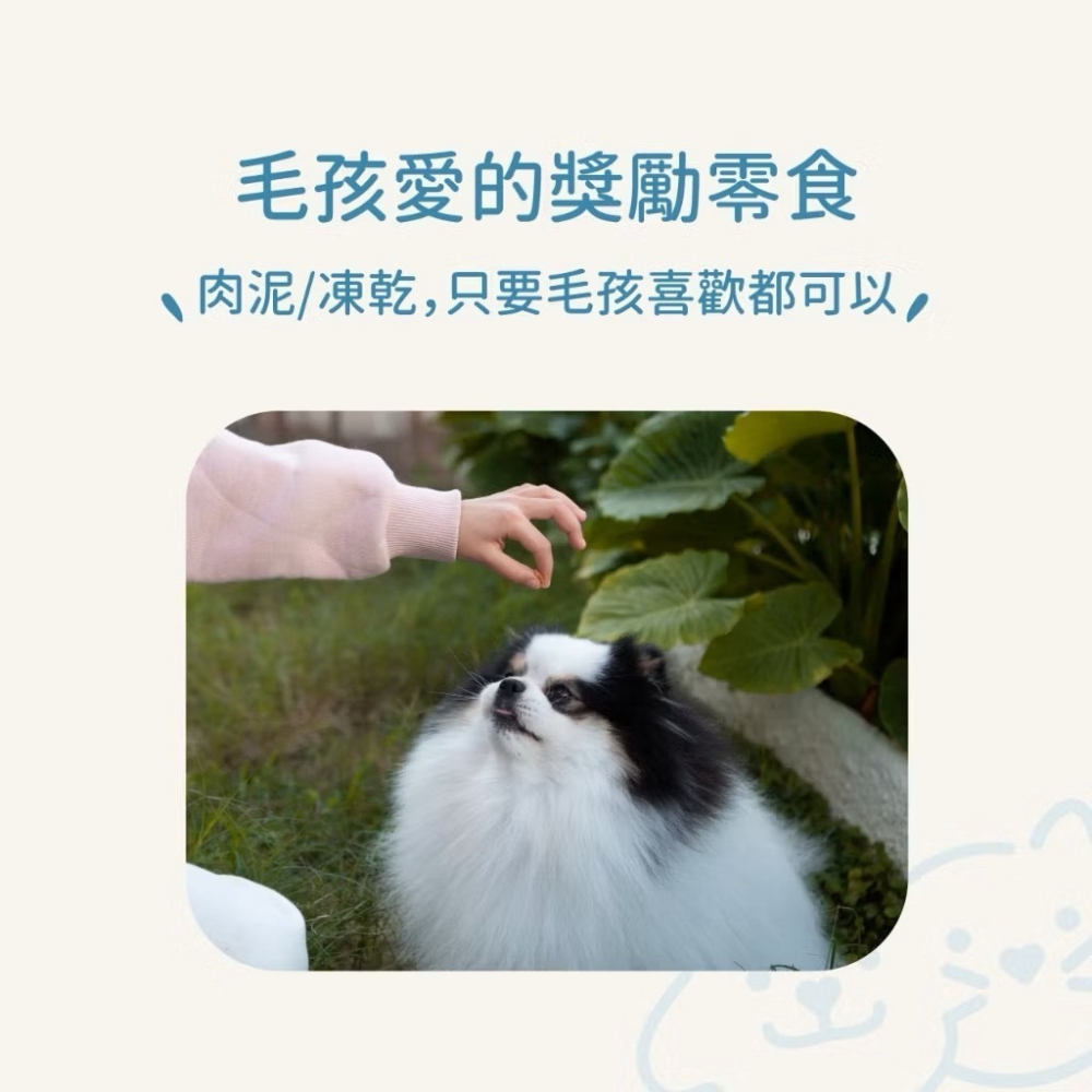 小小毛孩 寵物正向行為好幫手 訓練響片 寵物訓練 戒指響片 寵物正向行為 寵物訓練響片 寵物 減壓 訓練-細節圖3