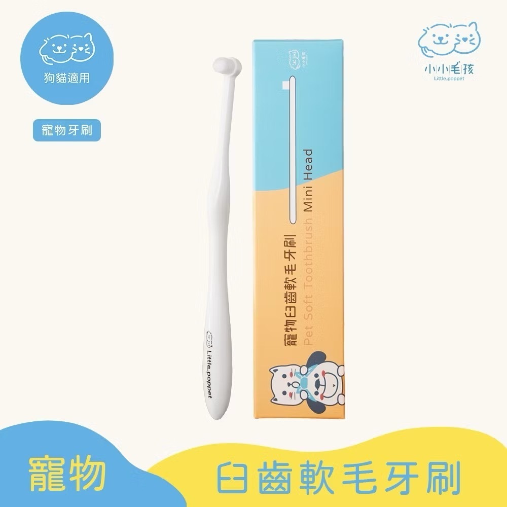 臼齒軟毛牙刷