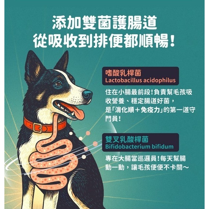 【博士巧思】凍乾犬食 800g(鹿肉/牛肉) 狗飼料 包裝：800g(100g*8)【分成8小包】-細節圖4