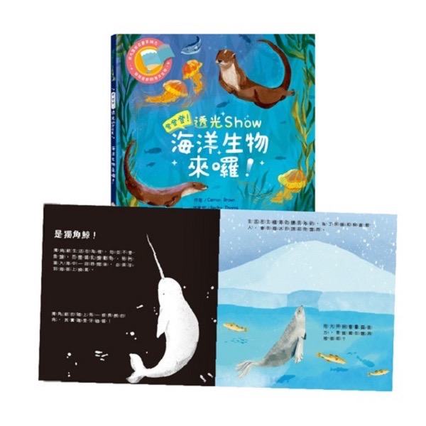 登登登！透光Show系列-細節圖7