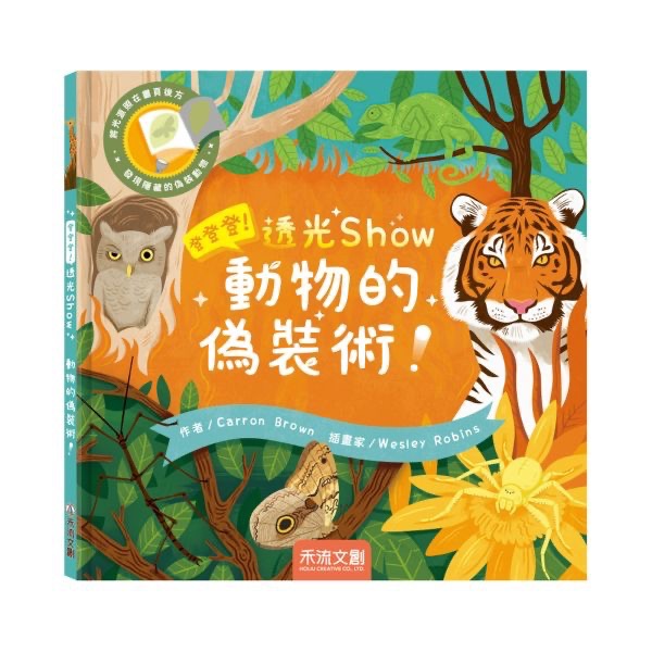 登登登！透光Show系列-細節圖8