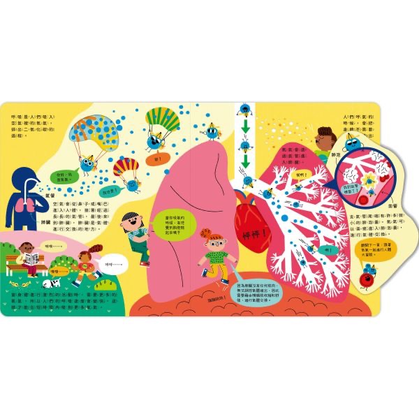 STEAM 科學小教室系列-細節圖6