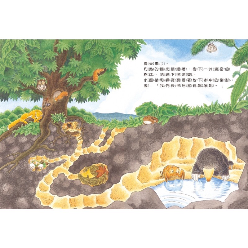 小鼴鼠與蟬寶寶-細節圖3