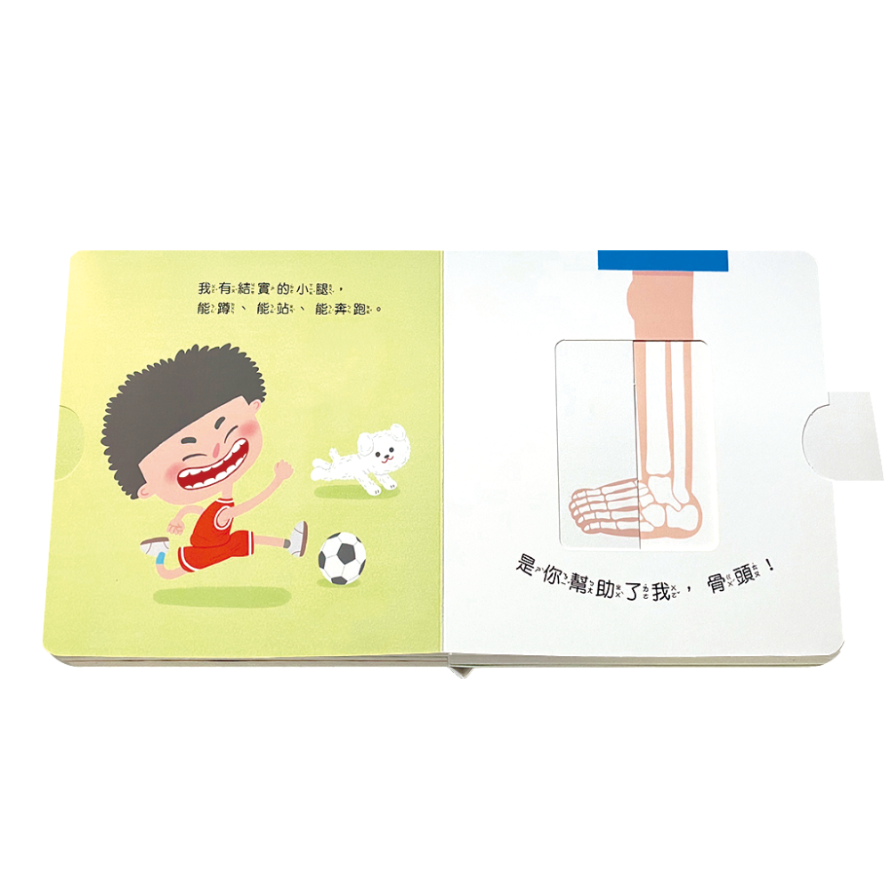 米米特特身體遊戲書(全套10冊)盒裝－－－推、拉、翻、轉、摸、聞、聽、看、貼..等50多個互動操作機關-細節圖9
