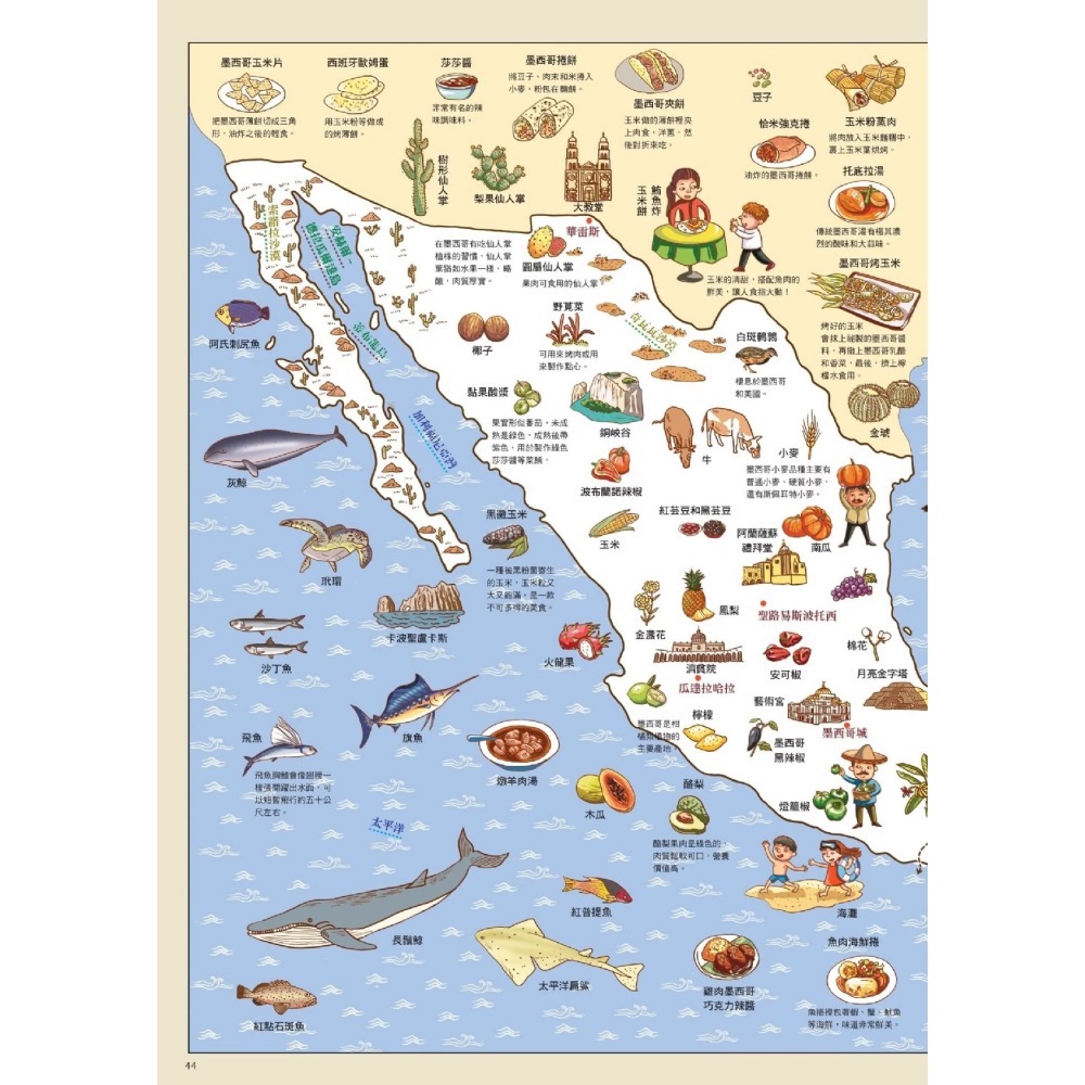 世界美食地圖-細節圖4