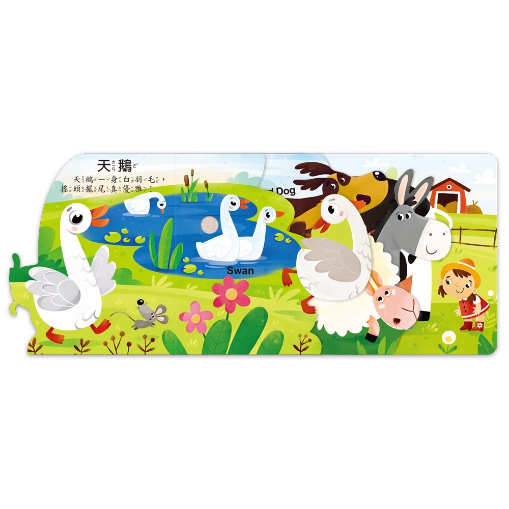 聽，什麼聲音？系列-細節圖8