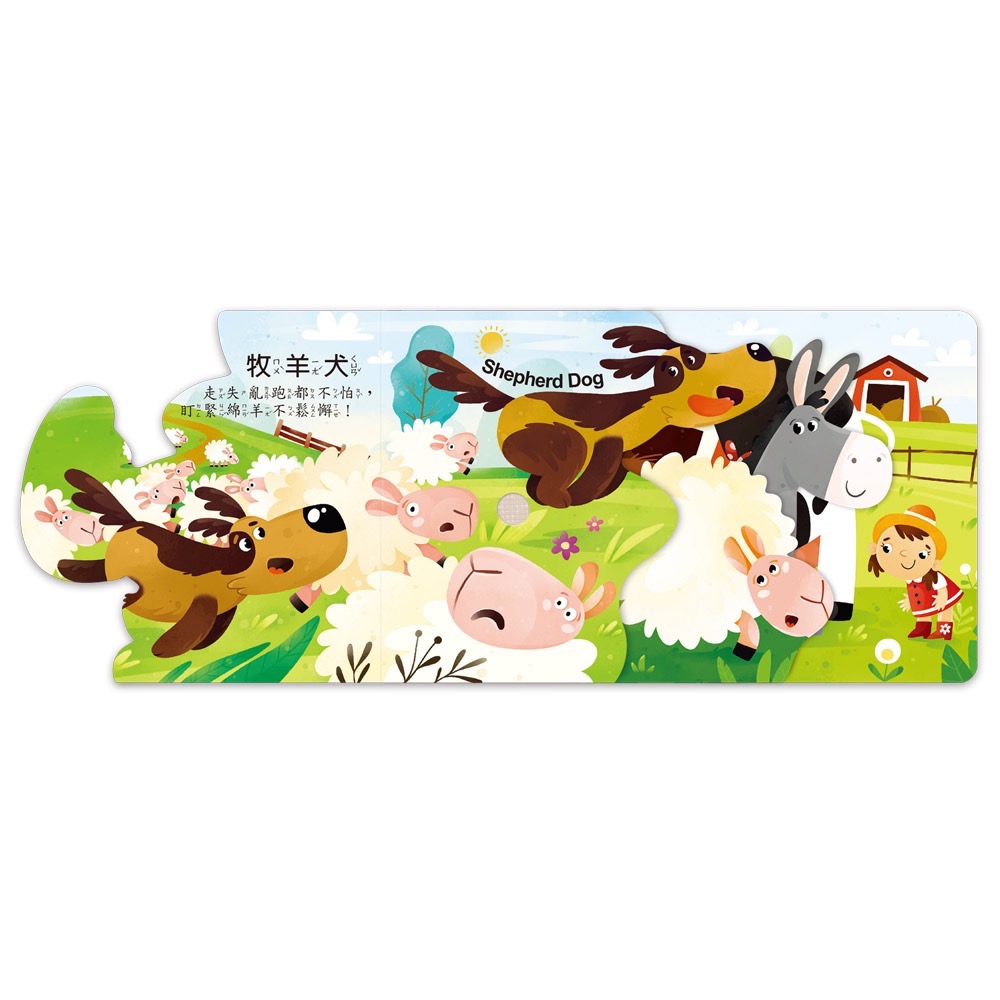 聽，什麼聲音？系列-細節圖9