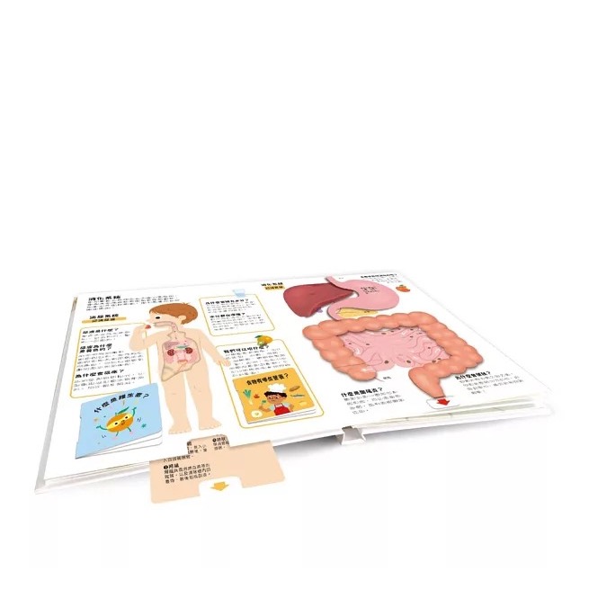 小小知識家動手大發現 人體 Amazing!-細節圖3