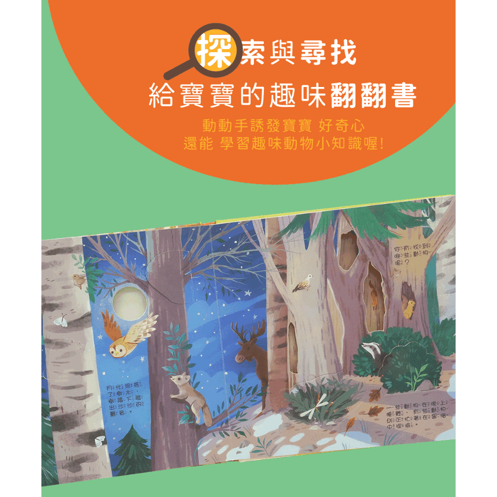 情境翻翻書系列-在森林 (洞洞書+翻翻書+全圖文點讀+中英點讀)-細節圖4
