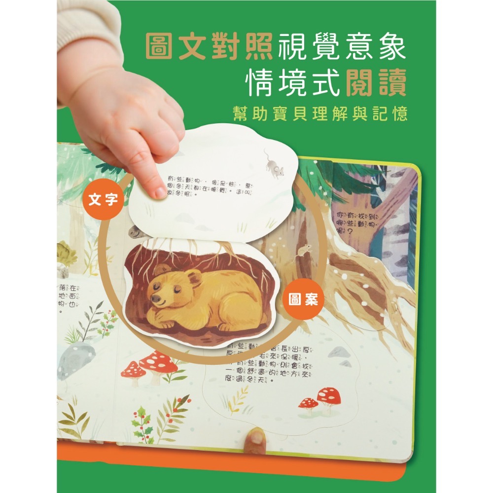 情境翻翻書系列-在森林 (洞洞書+翻翻書+全圖文點讀+中英點讀)-細節圖5