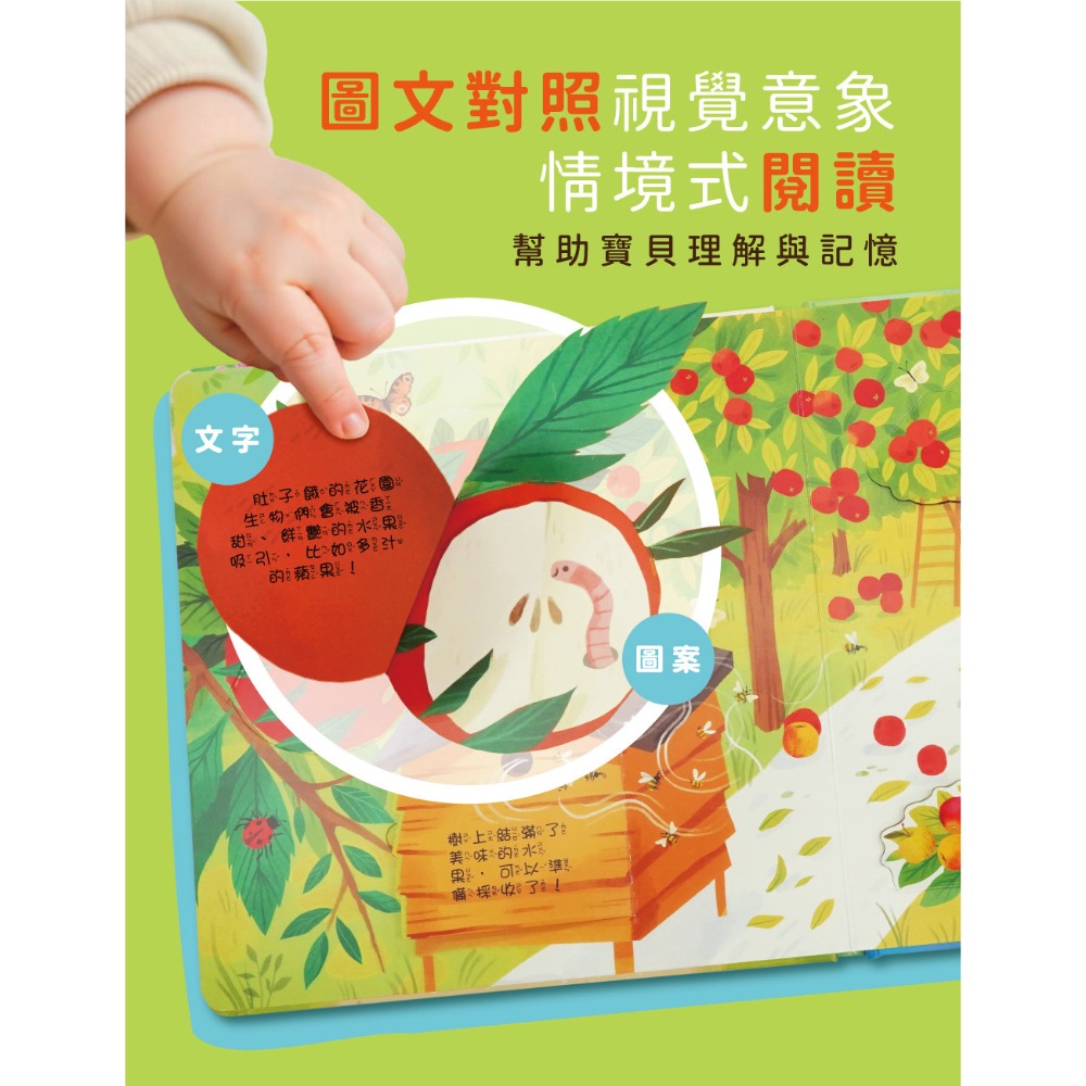 情境翻翻書系列-在花園 (洞洞書+翻翻書+全圖文點讀+中英點讀)-細節圖5