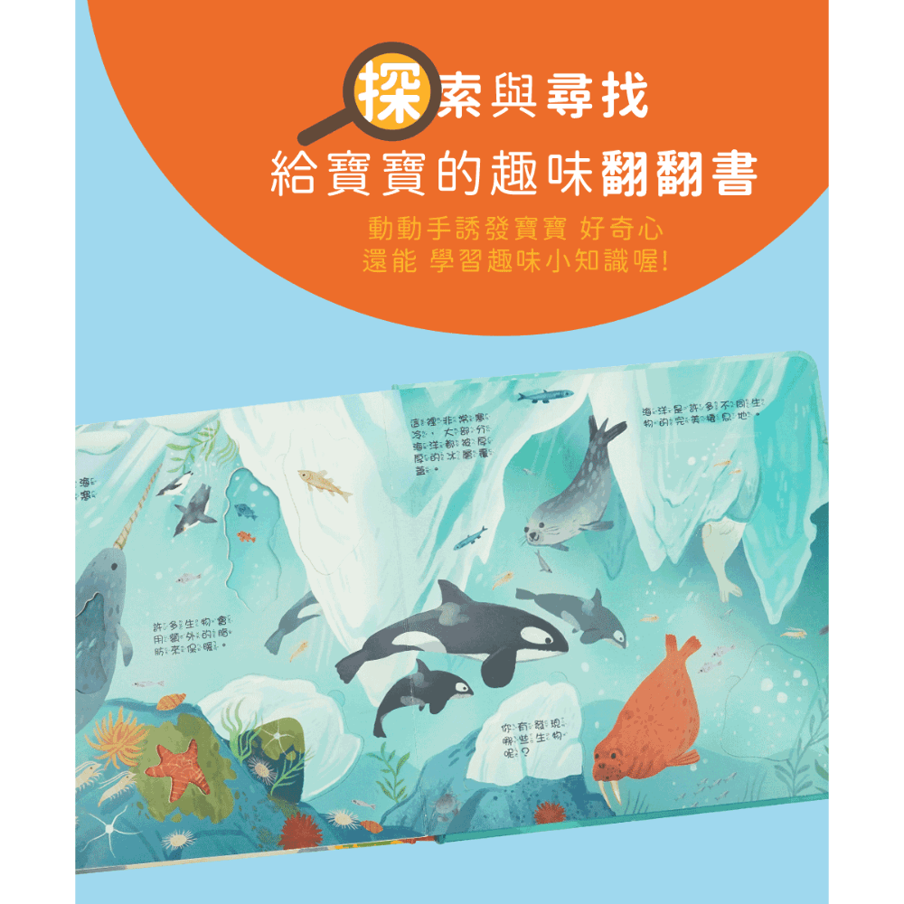 情境翻翻書系列-在海洋 (洞洞書+翻翻書+全圖文點讀+中英點讀)-細節圖4