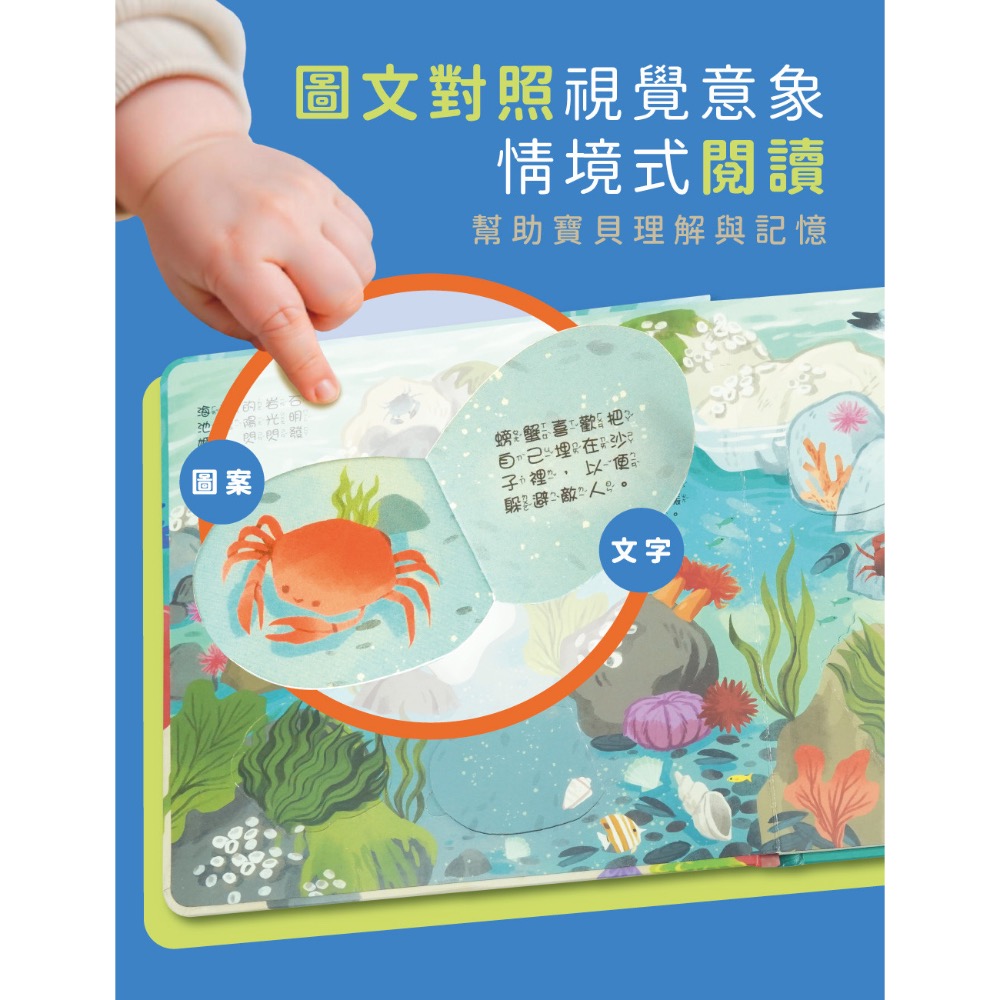 情境翻翻書系列-在海洋 (洞洞書+翻翻書+全圖文點讀+中英點讀)-細節圖5