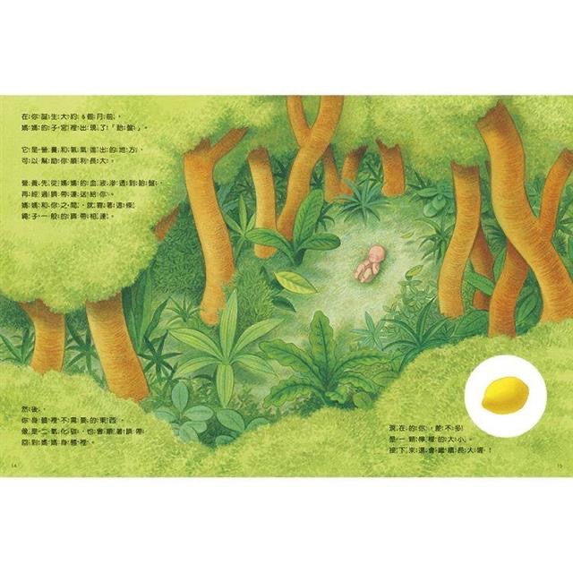 你在媽媽肚子裡的時候-細節圖3